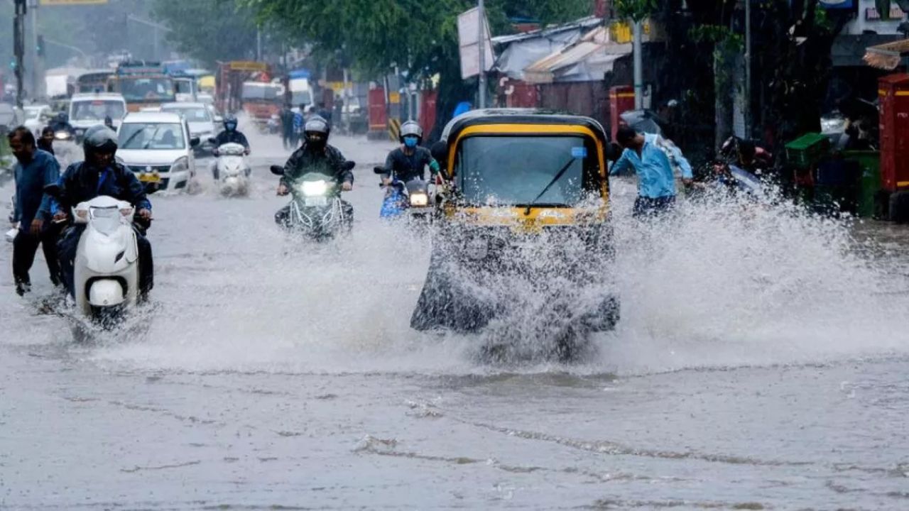 हरियाणा में मानसून का आखिरी झोंका! 19 सितंबर तक लगातार बारिश और गर्मी से मिलेगी राहत