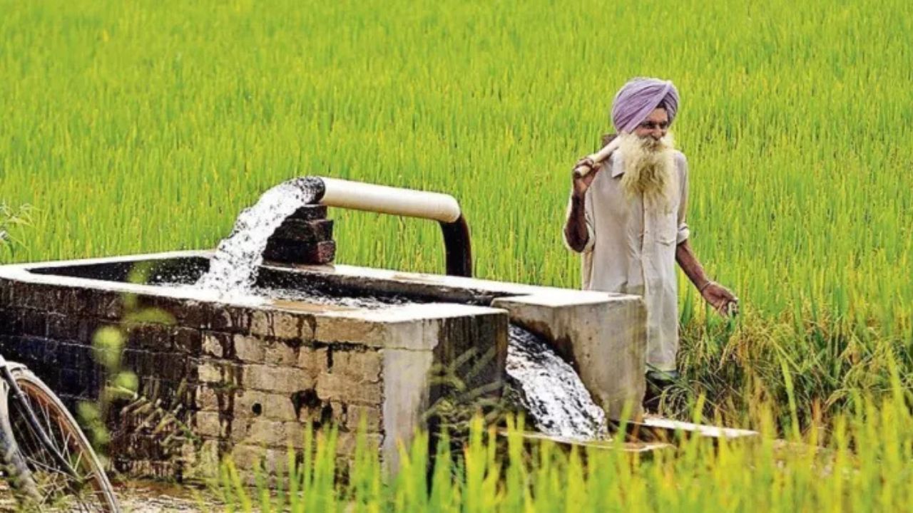 Haryana Kisan News: рдЕрдм рдЯреНрдпреВрдмрд╡реЗрд▓ рд╢рд┐рдлреНрдЯрд┐рдВрдЧ рдкрд░ рдирд╣реАрдВ рд▓рдЧреЗрдЧрд╛ рдПрдХ рднреА рдкреИрд╕рд╛! рд╣рд░рд┐рдпрд╛рдгрд╛ рд╕рд░рдХрд╛рд░ рдХрд╛ рдХрд┐рд╕рд╛рдиреЛрдВ рдХреЛ рддреЛрд╣рдлрд╛