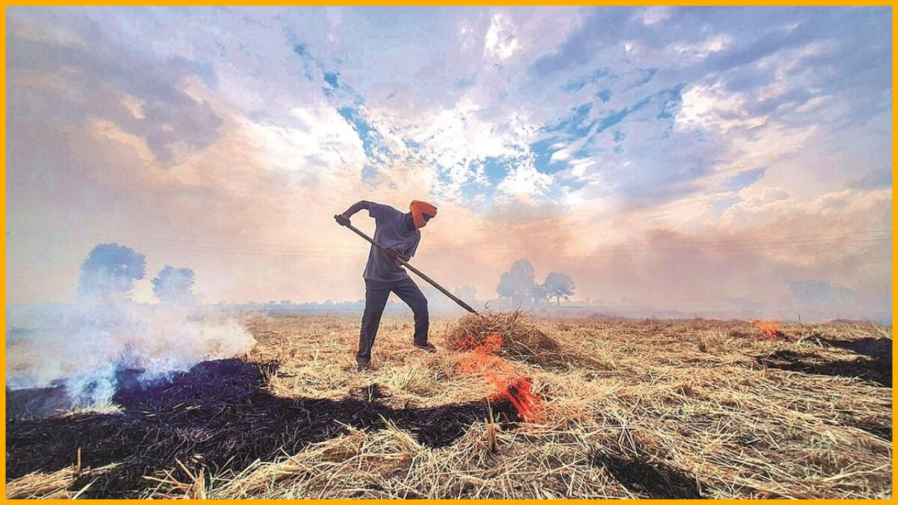 हरियाणा में प्रदूषण नियंत्रण का नया अभियान, 592 टीमों से राज्यभर में पराली और निर्माण साइटों की निगरानी