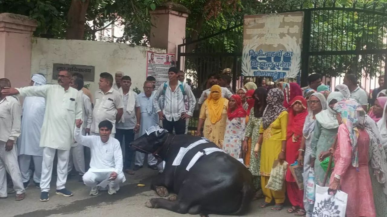 Haryana News: गढ़ीबाला के गरीबों की अनोखी लड़ाई! वादों की चिट्ठियां झोटे पर चिपकाकर पूछे सवाल