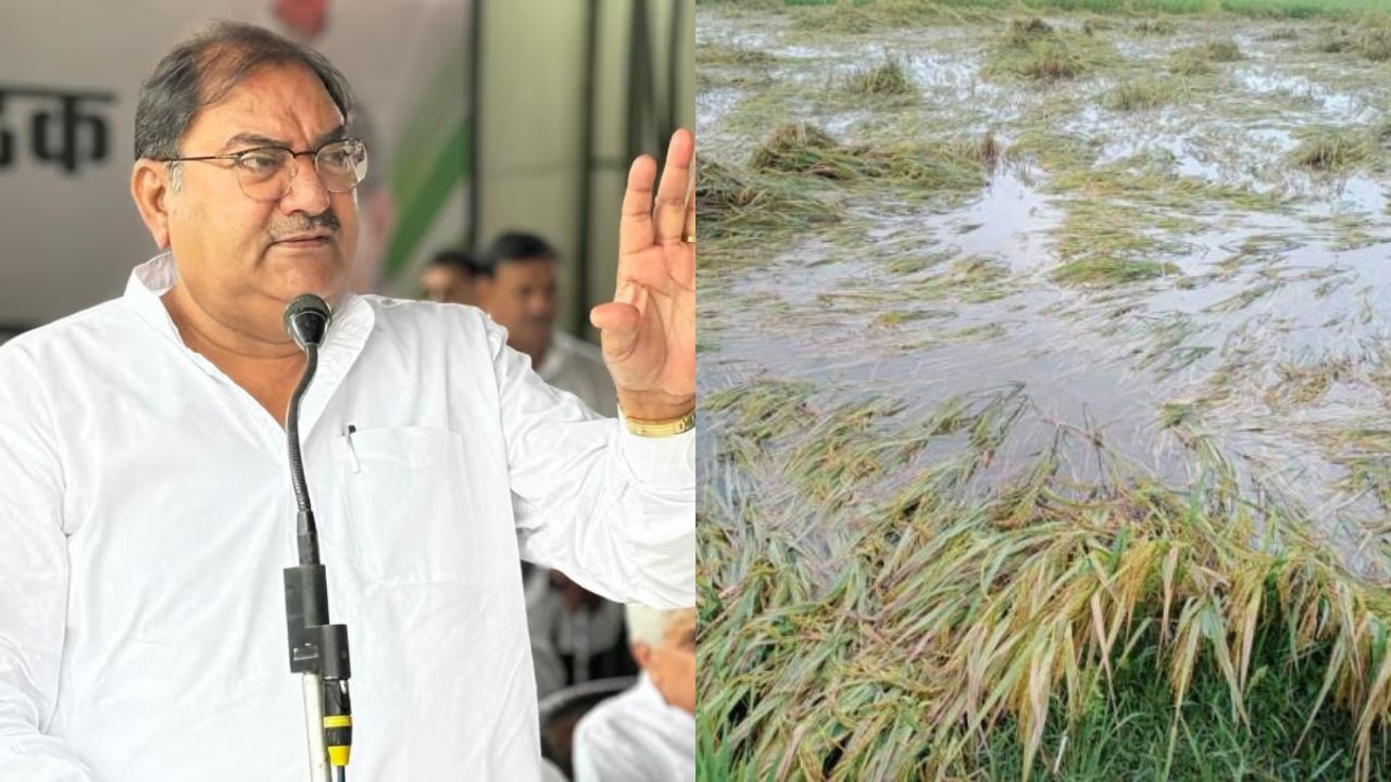 Haryana: अभय सिंह चौटाला ने सरकार से किसानों को 50 हजार रूपए प्रति एकड़ मुआवजा देने की मांग की।