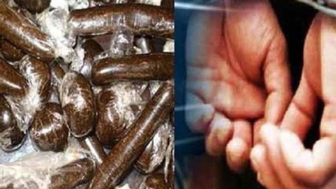 Haryana में बड़ा फैसला! चरस बेचने वाले दो आरोपी को 12 साल जेल और 2.40 लाख जुर्माना