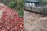 महाराष्ट्र में बारिश का कहर, पातालगंगा नदी में बहे 3,000 LPG सिलेंडर; प्रशासन ने जारी किया अलर्ट